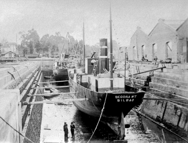 Begoa N 7